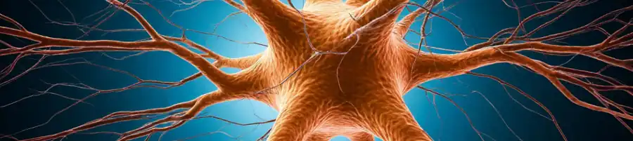 Спайк как термин энциклопедии по психиатрии